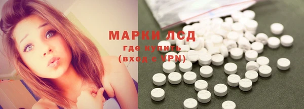 apvp Аркадак